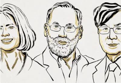 کشف خودکنترلی سیستم ایمنی، جایزه نوبل پزشکی ۲۰۲۵ را برای ۳ دانشمند به ارمغان آورد