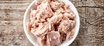 کتلت تن ماهی؛ خوشمزه و آبدار