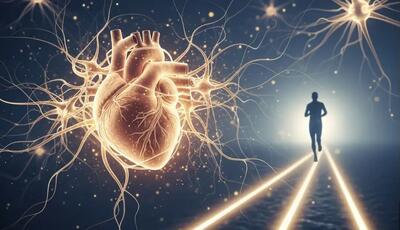 ورزش منظم فقط قلب را قوی نمی‌کند؛ اعصاب آن را نیز تغییر می‌دهد