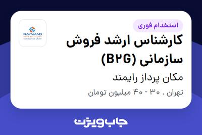 استخدام کارشناس ارشد فروش سازمانی (B2G) در مکان پرداز رایمند