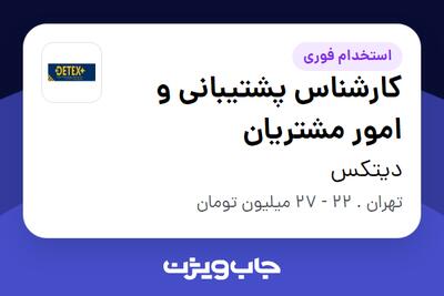 استخدام کارشناس پشتیبانی و امور مشتریان در دیتکس