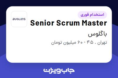 استخدام Senior Scrum Master در باگلوس