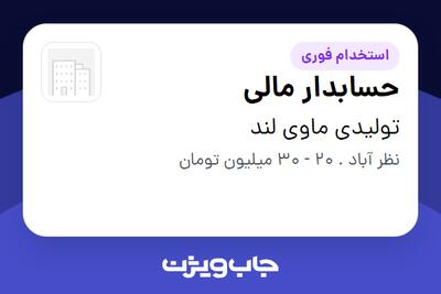 استخدام حسابدار مالی - خانم در تولیدی ماوی لند