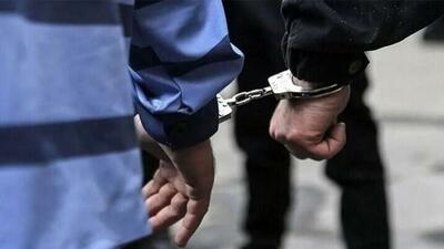 بازداشت دو عنصر منافقین در پایتخت