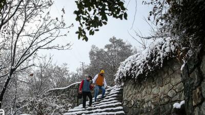 بارش باران و برف در شمال تهران/ آبعلی سردترین نقطه استان