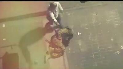 فیلم/ لحظاتی دلخراش از شهادت جوانان کشور توسط هسته‌های تروریستی اسرائیل