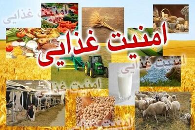 ثبات تولید و استمرار ریشه اصلی ایجاد امنیت غذایی است