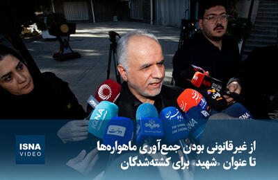 ویدیو/ از غیرقانونی بودن جمع‌آوری ماهواره‌ها تا عنوان «شهید» برای کشته‌شدگان