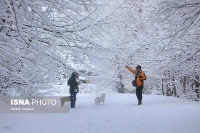 کاهش محسوس دما در کشور