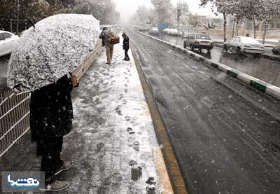 بارش برف در تهران‌آغاز شد | نفت ما