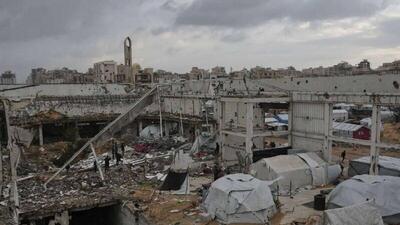 مشاور رئیس جمهور فلسطین گفت که حضور پوتین در شورای صلح غزه به ما حس صلح می‌دهد