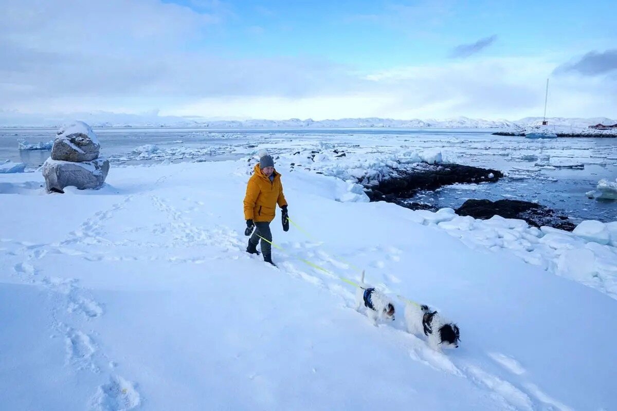 تصاویری از جزیره گرینلند